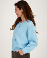 Je m'appelle Vesten Lichtblauw / S/M/L Veste Diede | Lichtblauw